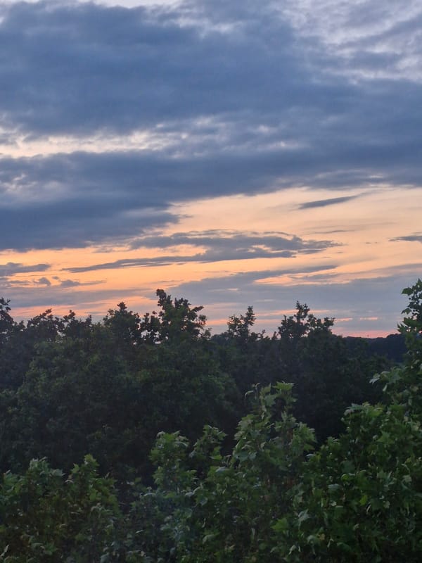 Evening documentation of domestic life and twilight views in Bremen