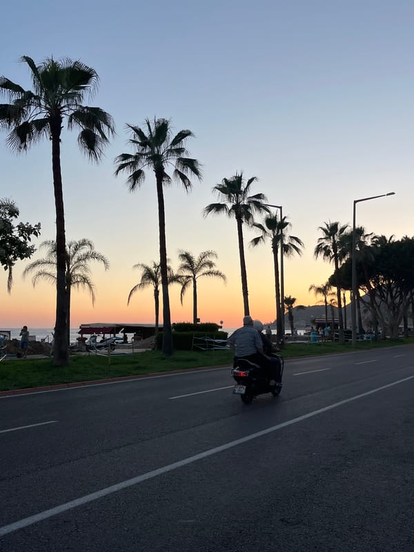Sunset hour captured across Alanya's palm-lined Mediterranean coastline