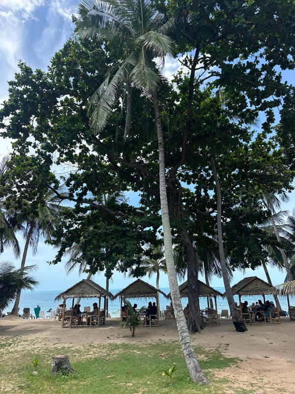 Beach and roadside scenes around Ko Samui on a July morning