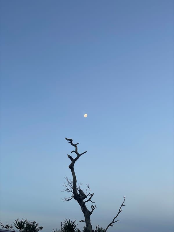 Cars parked along road in Umhlanga under daytime moon