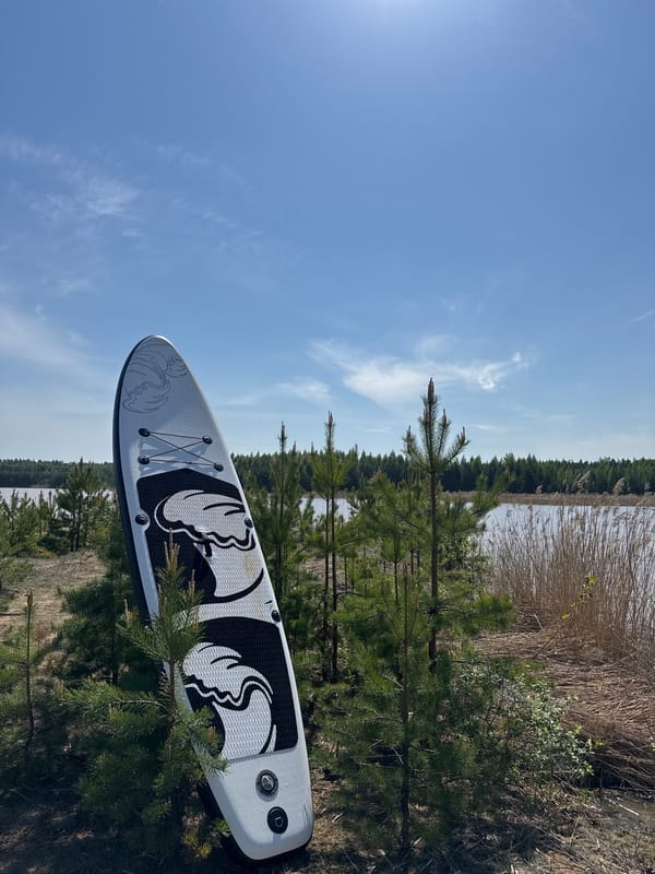 Paddleboard spotted on land near water in Noviy, Russia