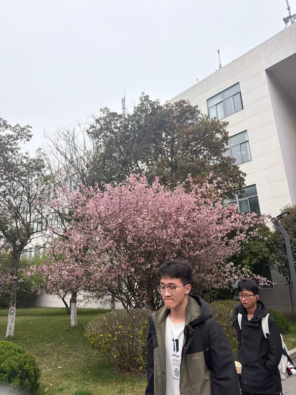 Spring blossoms documented in Jiangning District park area