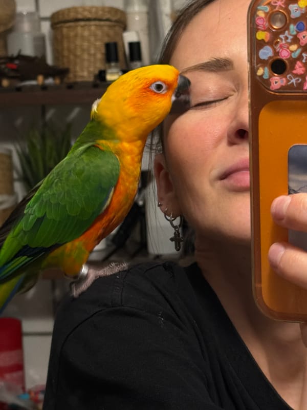 Family documents daily life with colorful parrot in Khimki