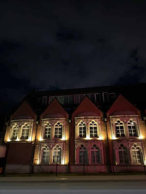 Ornate brick building with lit windows photographed in Sofia