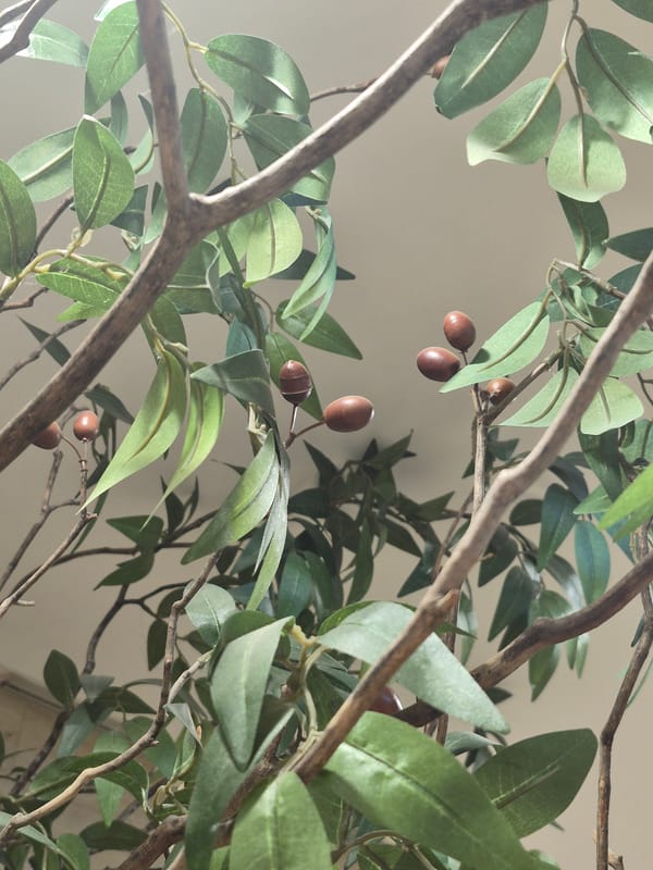 Plants and small paintings in a Seoul interior setting