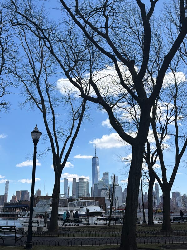 Manhattan skyline viewed from Jersey City trees