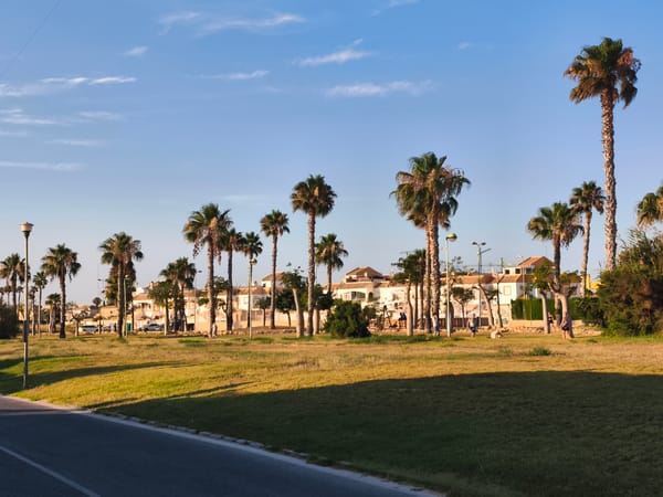 Quiet park promenade scene in Torrevieja, Spain