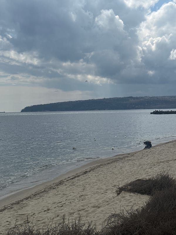 Coastal moments captured along Varna's Black Sea shoreline