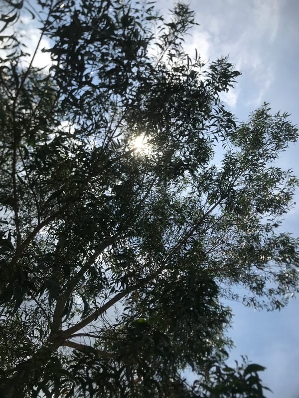 Morning scenes documented at Lhokseumawe media center and residence