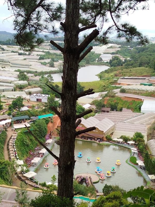 Exploring Cam Ly's greenhouses, shrines, and hillside scenery in Da Lat