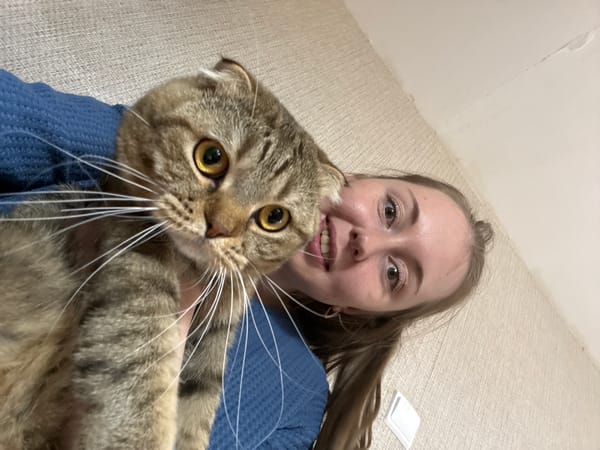 Hanging chair hangout with a tabby cat