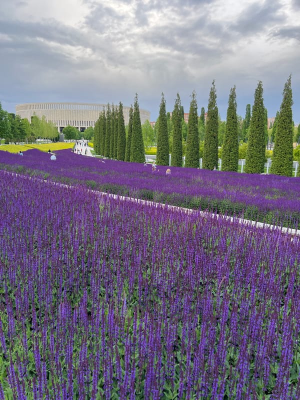Visitors document afternoon at Krasnodar park with flowers, sculpture