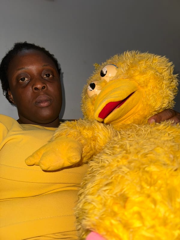 Witnesses document playtime with Big Bird, leopard stuffed animals