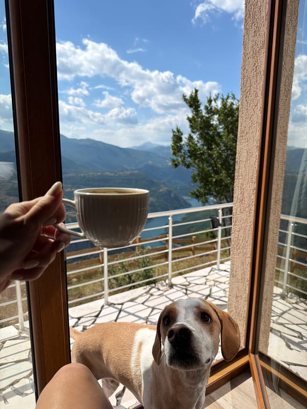 Coffee, a dog, and river views in Bukovac, Montenegro