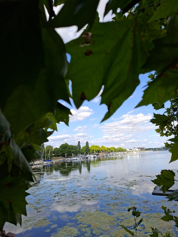 Sunny afternoon at Wiesbaden's Rhine marina and Kurpark