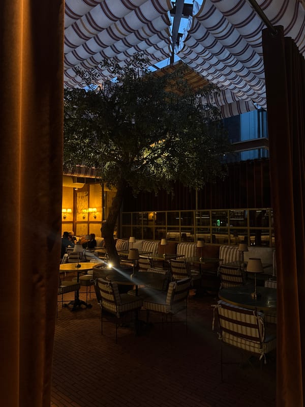 Cape Town restaurant dining and cafe service documented
