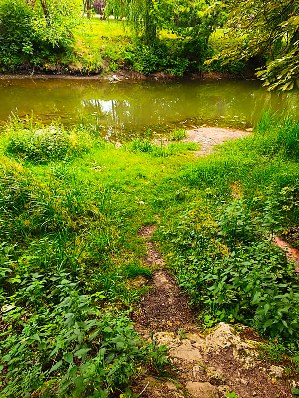 Ternopil park bridge and river on a June morning