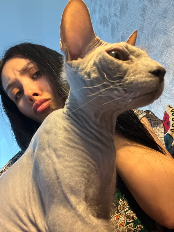 Home selfie session with hairless cat in Votkinsk