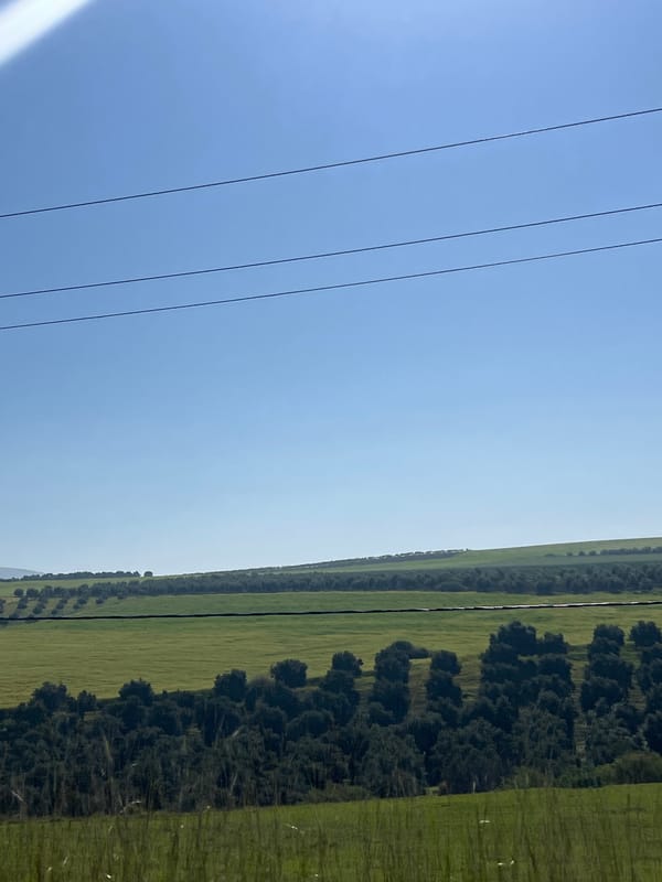 Power lines cross pale sky in rural Morocco