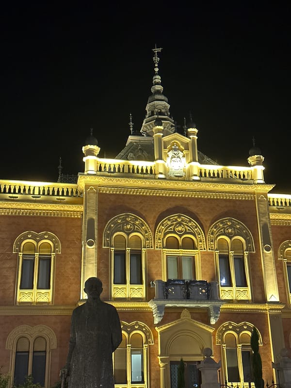 Night out near Novi Sad's illuminated landmarks