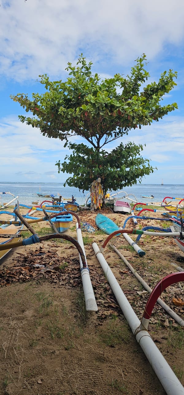 Traditional boats and beachgoer documented at Denpasar beach scene