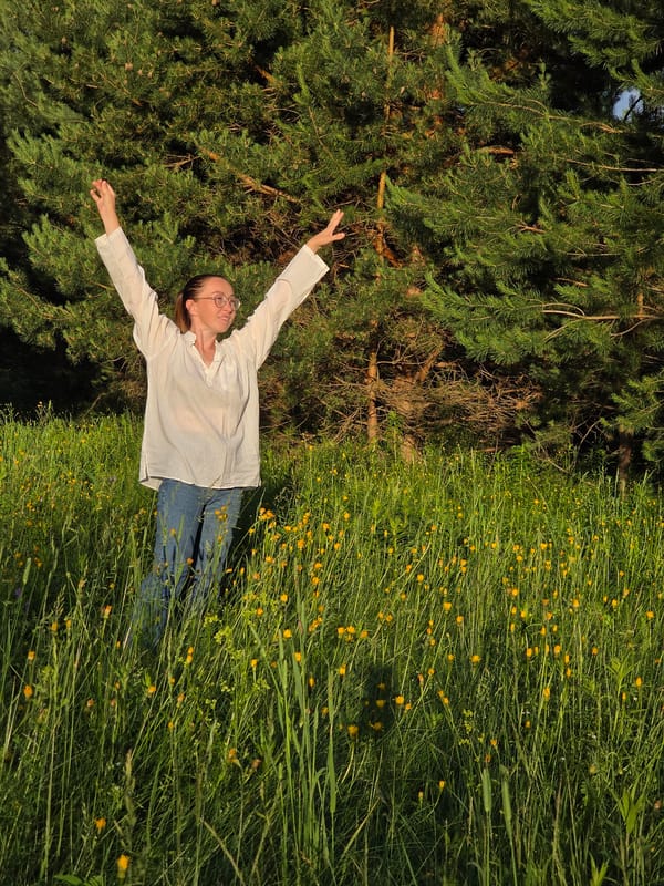 Afternoon in the pine forests and wildflower meadows of Chaikovsky