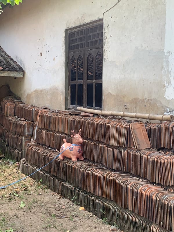 Morning garden tour documented in rural Indonesian village