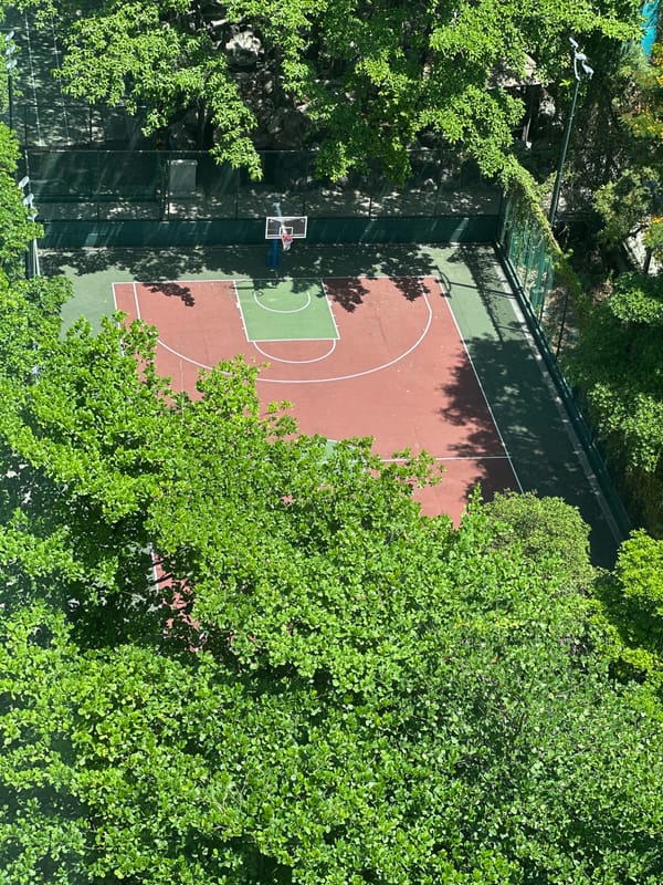 Aerial views show basketball court and hillside walkway in India