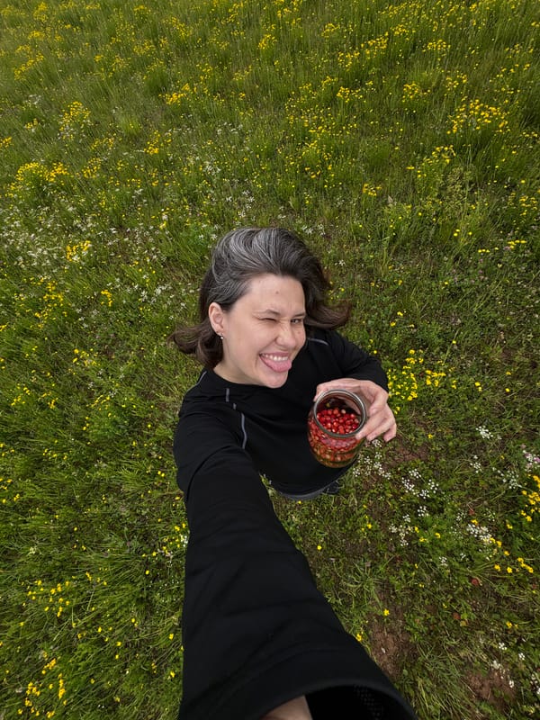 Woman forages wild strawberries in meadow during morning hours