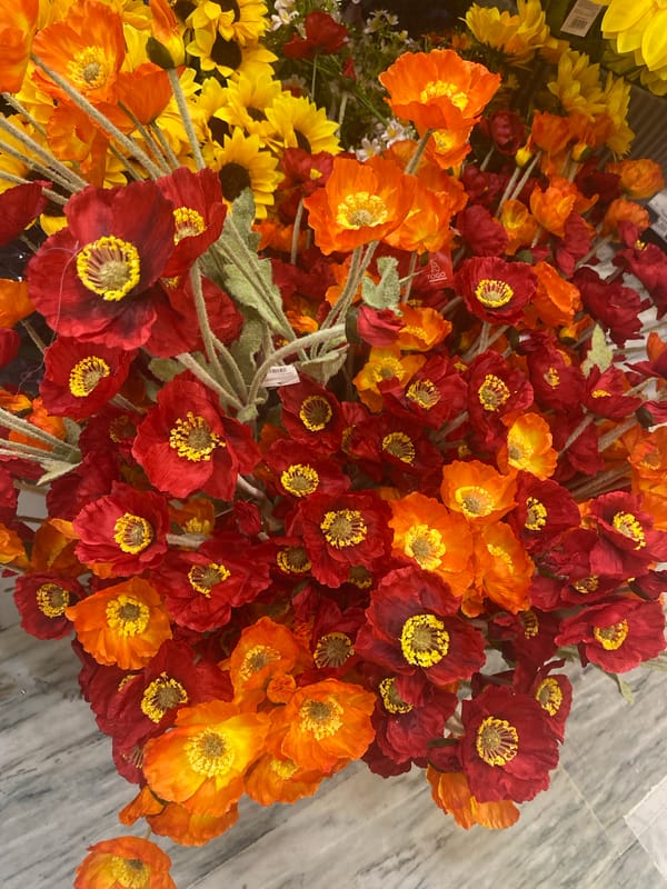 Park visit and shopping stops across an afternoon in Konya