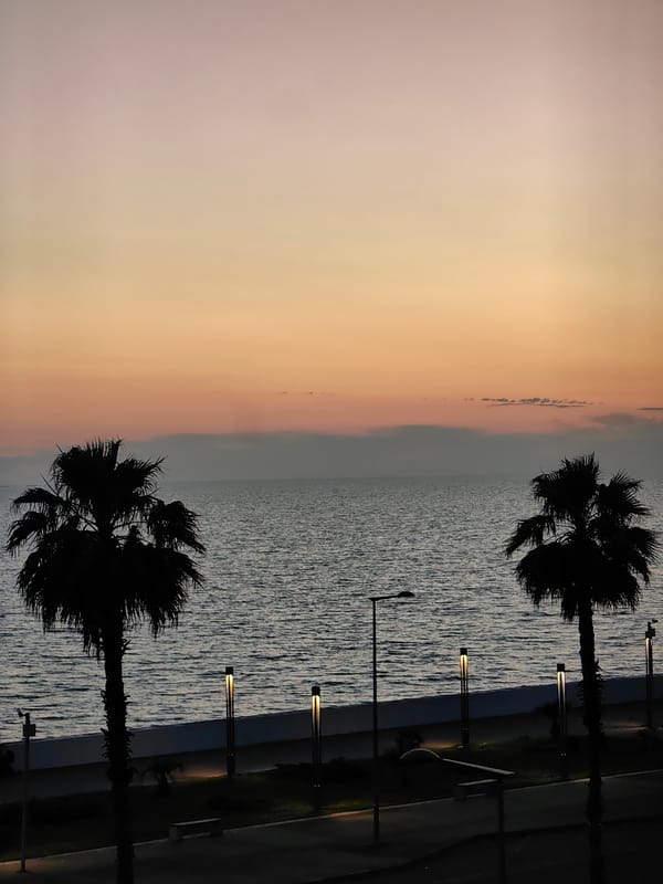 Evening life documented across Sochi's coastal areas and landmarks