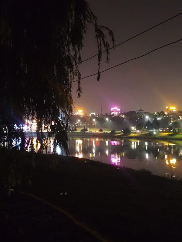 Night fishing captured at illuminated Da Lat lake