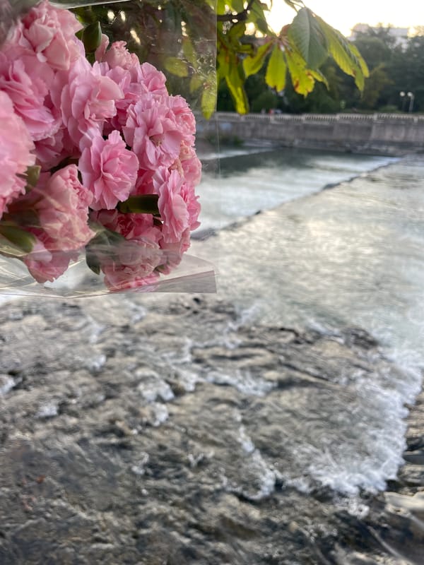 Riverside stroll in Sochi with pink carnations at golden hour