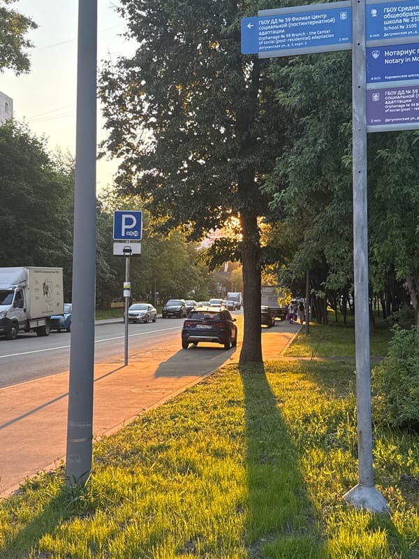 Moscow summer evening: flowers, golden light, and Brutalist towers