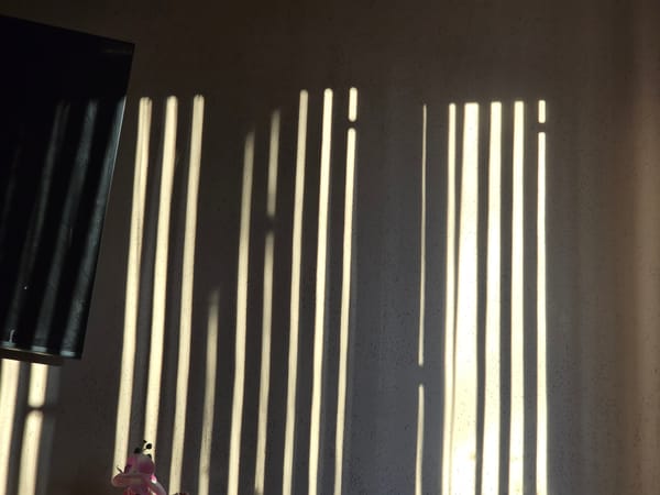 Early morning domestic moments recorded in Pleven, Bulgaria