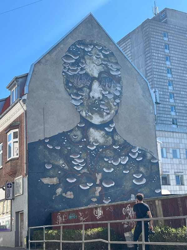 Large profile mural spotted on Aalborg building features organic design