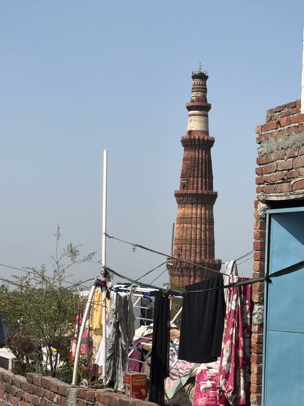 Black cat holds court near Qutub Minar rooftops in Delhi