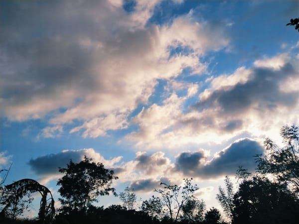 Cloudy sky documented over natural area, tree silhouettes visible