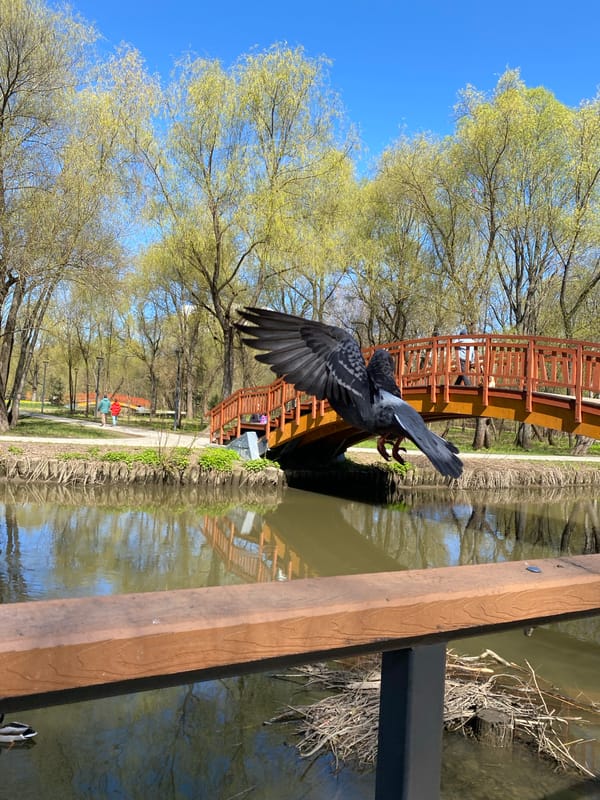 Spring morning scenes captured in Moscow park