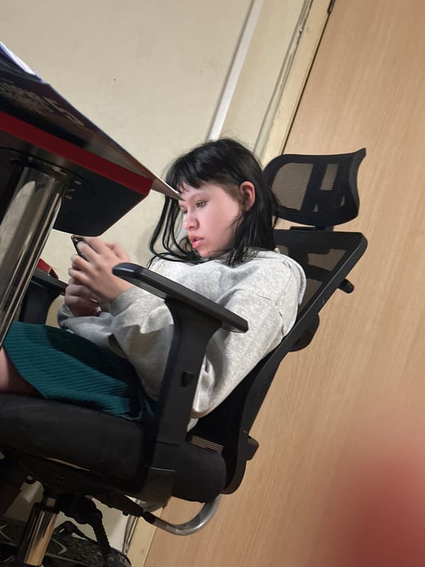 Student studies with cats in Moscow apartment