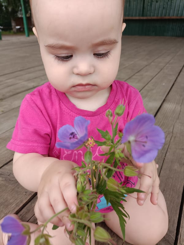 Summer afternoon in Посад, purple flowers in hand