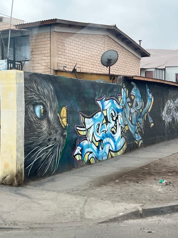 Street life documented in Arica, Chile residential area