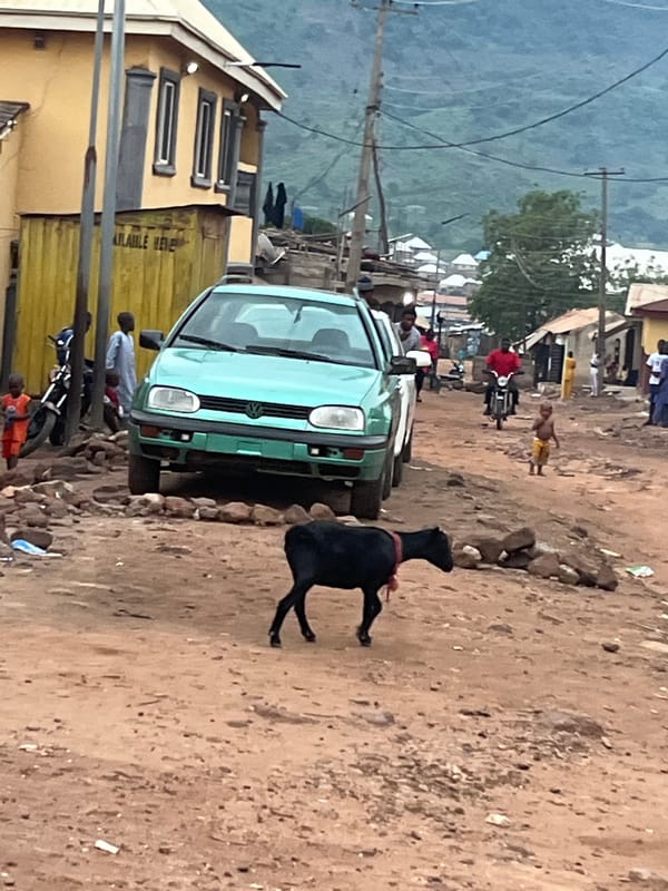 Everyday village life: goats, kids, and daily routines