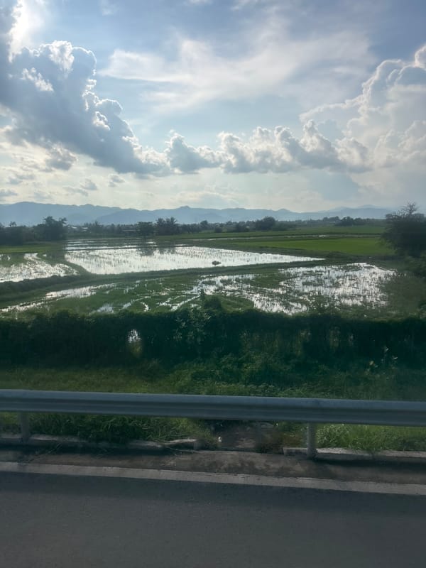 Morning drive through green farmland, rice paddies, and mountain scenery
