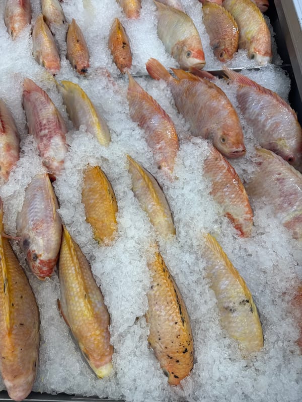Shopping trip documented at Bangkok Makro supermarket over 14 minutes