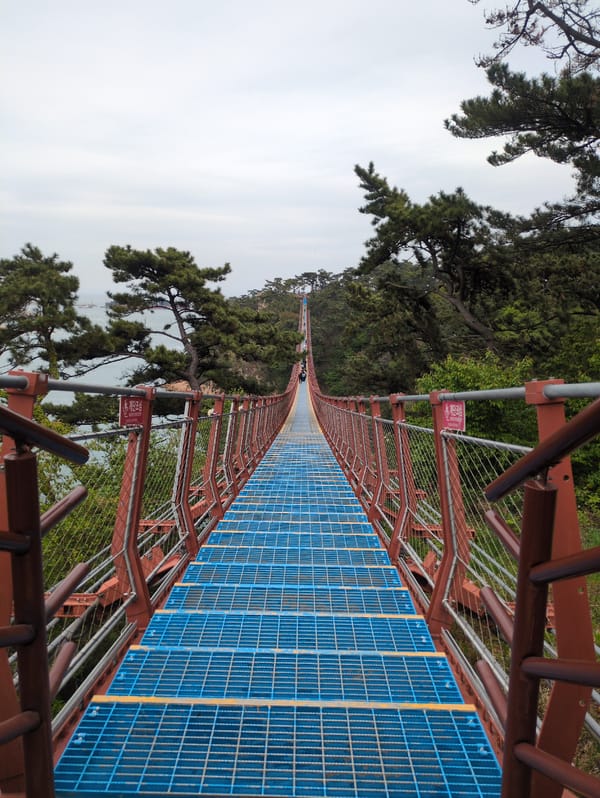 Dawn photography session captures Ulsan coastal views from bridge, cliffs