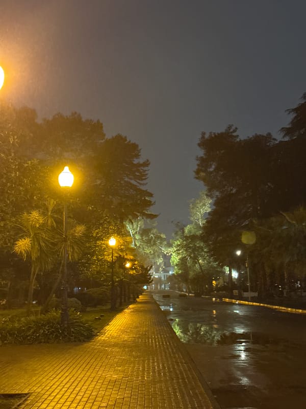Rainy night scene documented in Sokhumi, Abkhazia