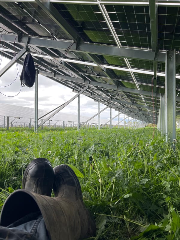 Solar farm documented in overcast Grange Ville, Ireland