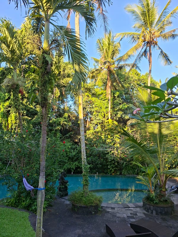 Morning garden walk documented in tropical Ubud, Indonesia