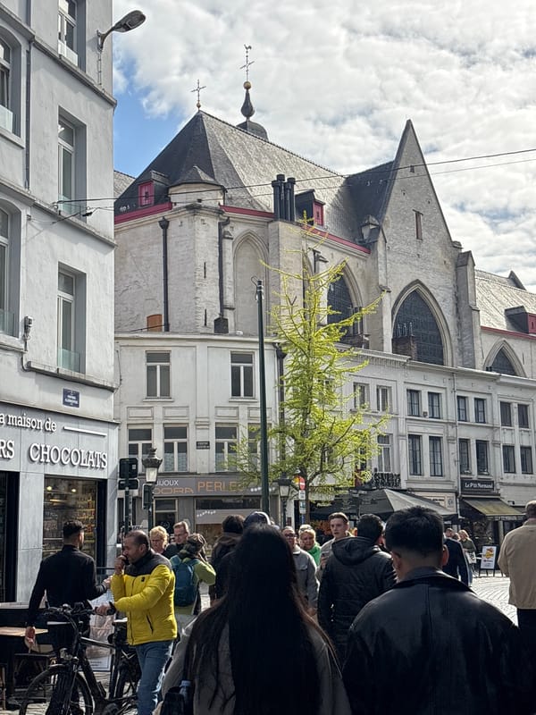 Everyday Brussels street life and landmarks captured downtown